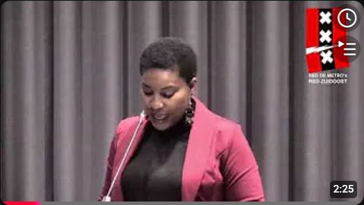 Wat zei Saskia Meiland namens Afro collectief en Bij1 in de vervoerregio